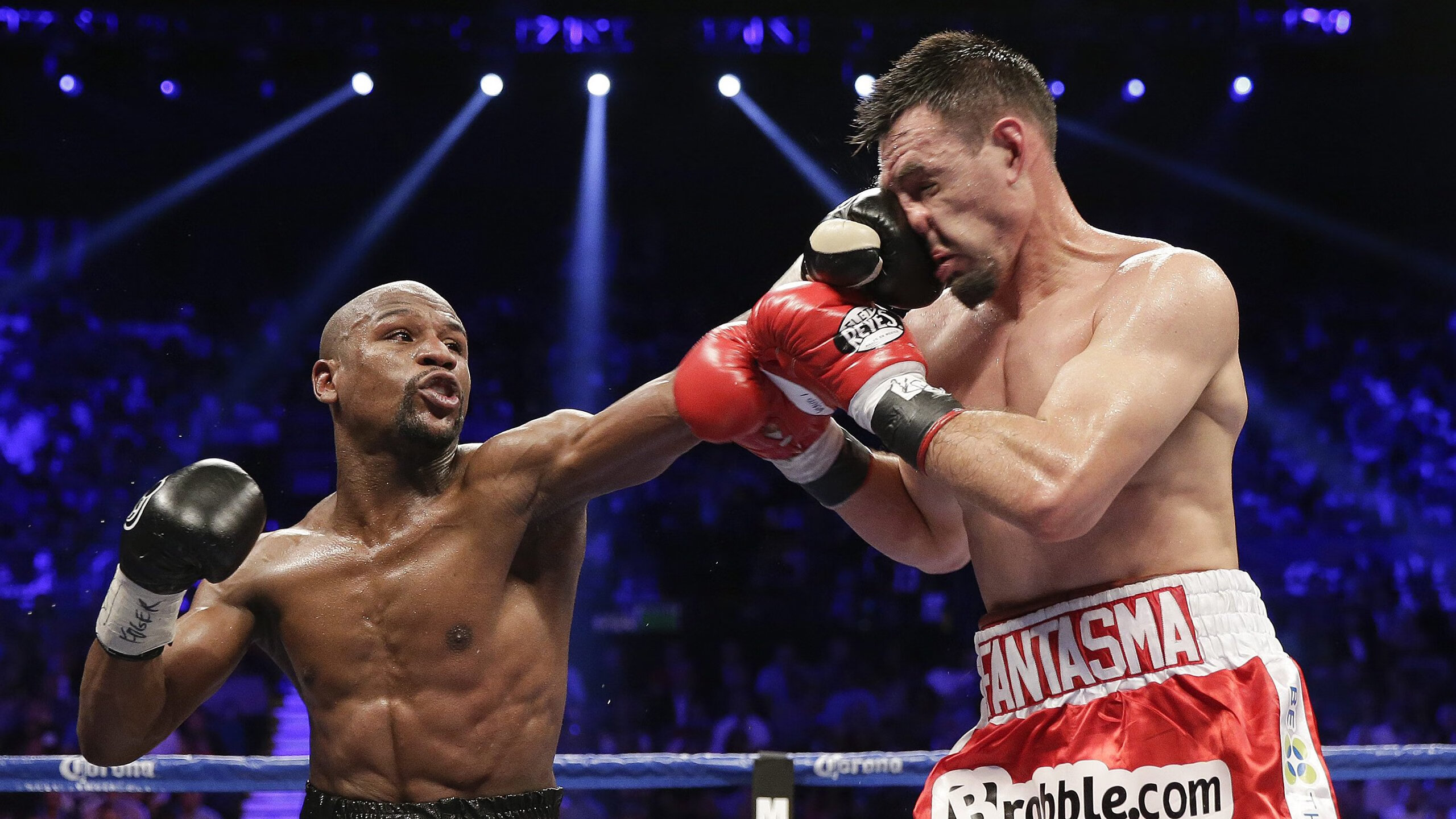 “青训专家：培养专业化教练员为行业注入新活力”，专业教练班培训